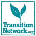 RIFLESSIONI SUL TRANSITION NETWORK